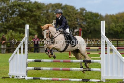 HOYS26-529