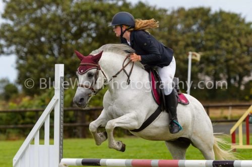 HOYS26-530