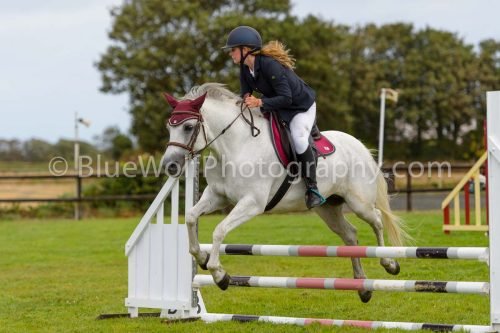 HOYS26-531