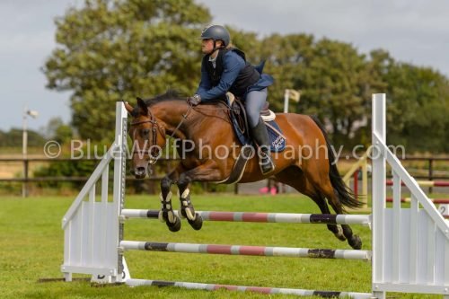 HOYS26-532