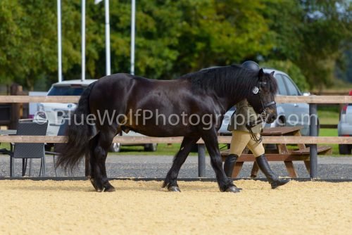 HOYS26-32