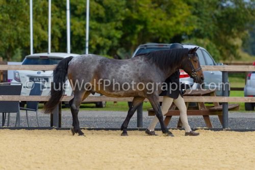 HOYS26-34
