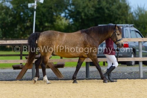 HOYS26-35