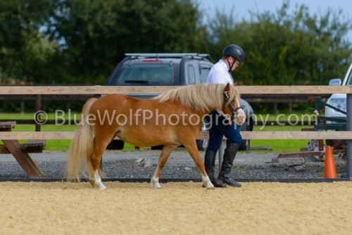 HOYS26-36