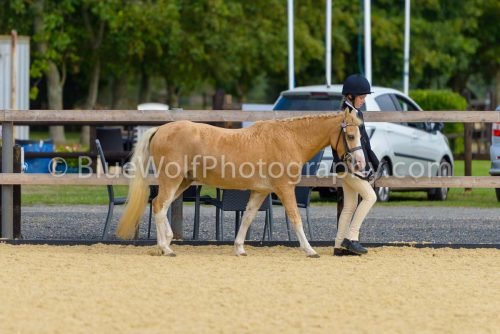 HOYS26-37