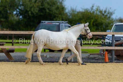 HOYS26-38