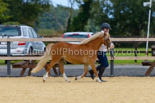 HOYS26-45