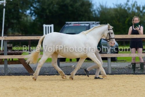 HOYS26-47