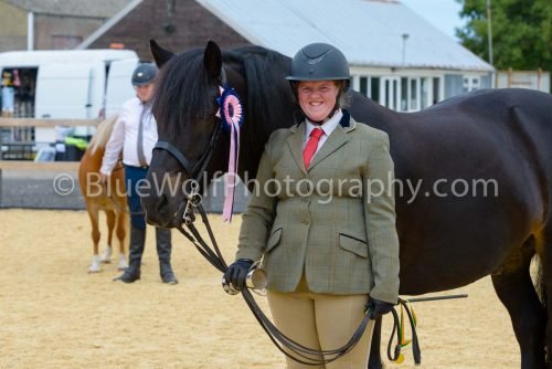 HOYS26-49