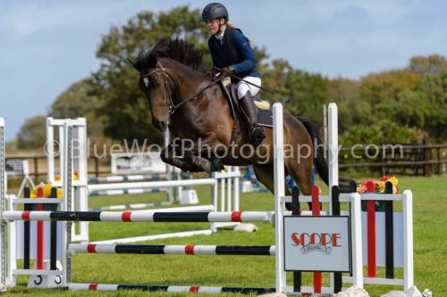 HOYS26-534