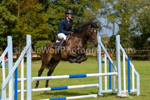 HOYS26-535