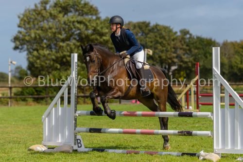 HOYS26-536