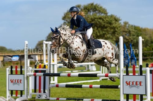 HOYS26-538