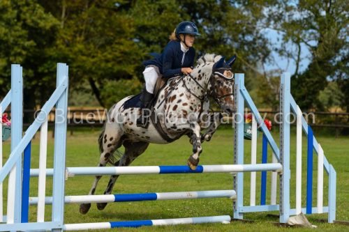 HOYS26-539