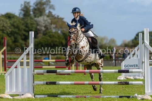 HOYS26-540