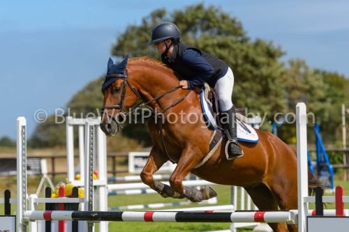 HOYS26-541