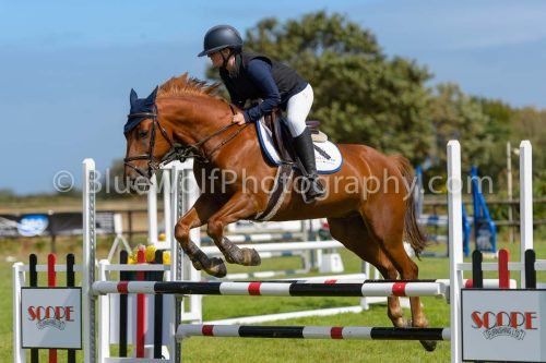 HOYS26-542