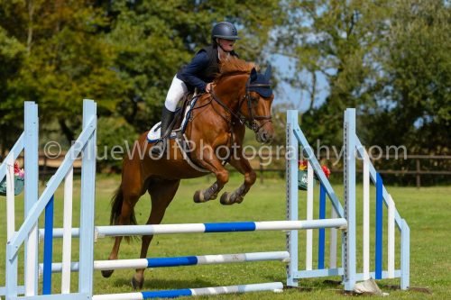 HOYS26-543