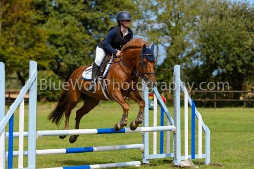 HOYS26-544