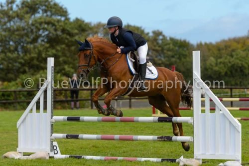 HOYS26-545