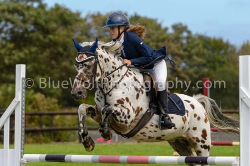 HOYS26-546