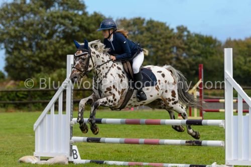 HOYS26-547