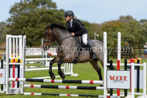 HOYS26-549