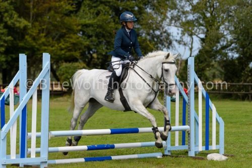 HOYS26-550