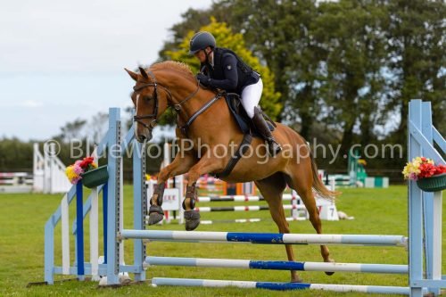 HOYS26-552
