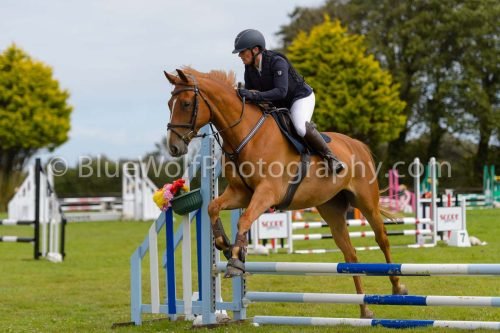 HOYS26-553