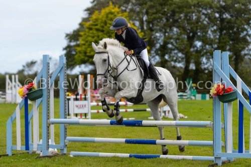 HOYS26-554