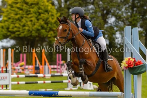 HOYS26-555