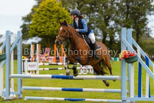 HOYS26-556