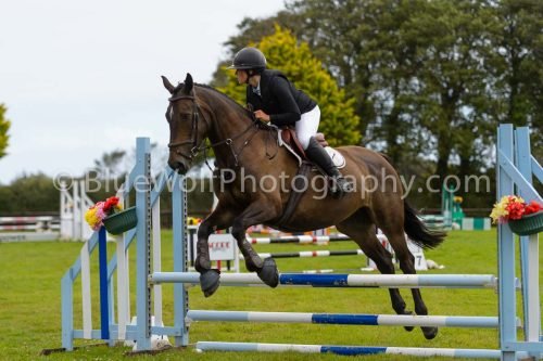 HOYS26-557