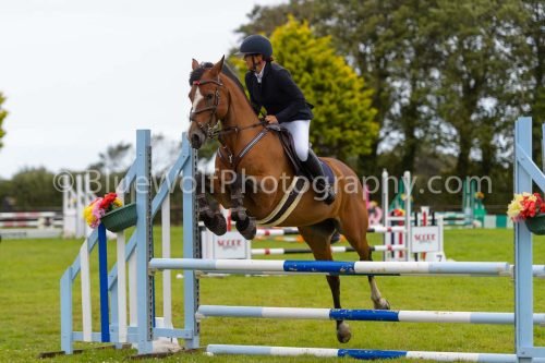 HOYS26-560