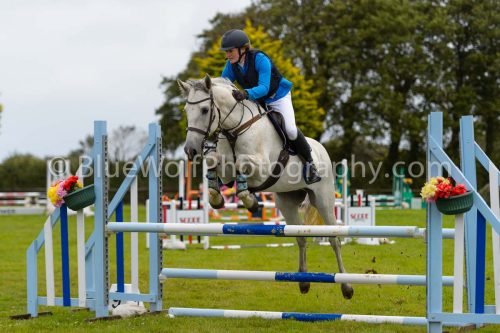 HOYS26-562