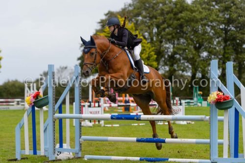 HOYS26-563