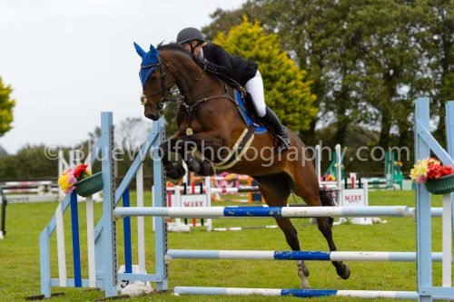 HOYS26-564