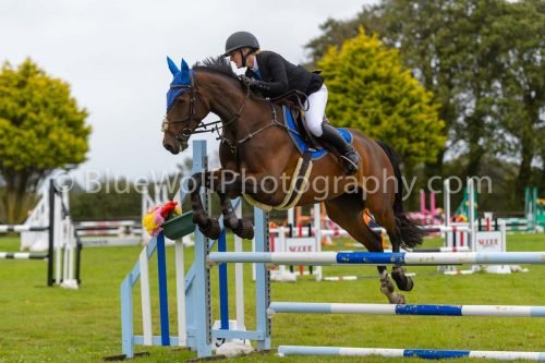 HOYS26-565