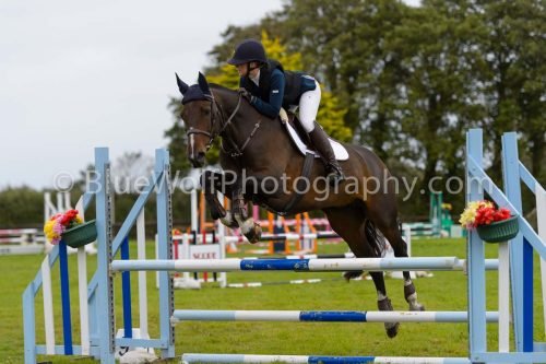 HOYS26-566