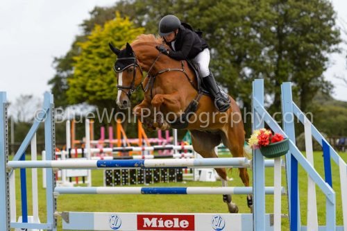 HOYS26-569