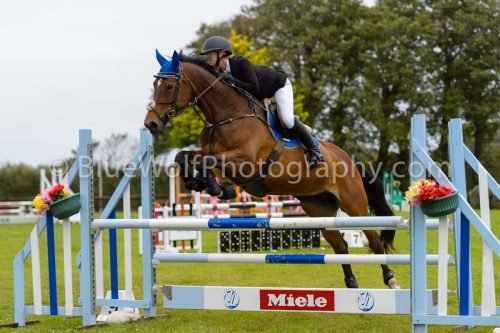 HOYS26-570