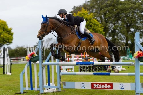 HOYS26-571
