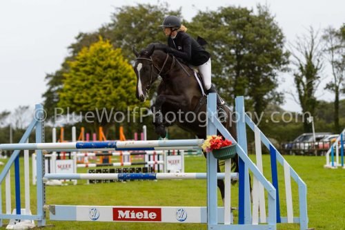 HOYS26-574