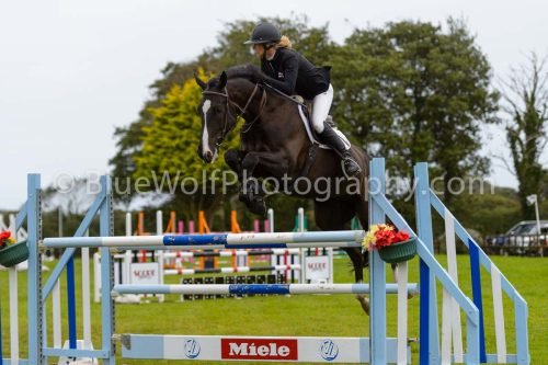HOYS26-575