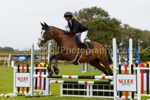 HOYS26-577
