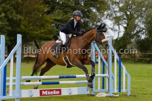 HOYS26-578
