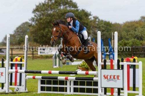 HOYS26-580