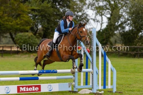 HOYS26-581