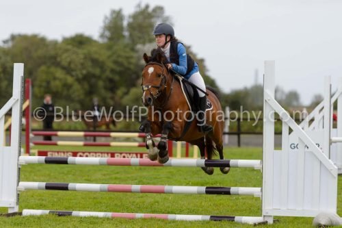HOYS26-582